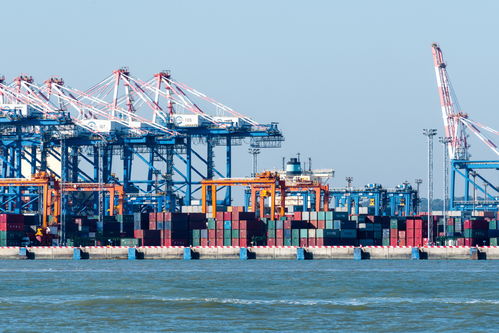 5g助推智慧港口 揚帆遠航 中國 福建 自由貿(mào)易試驗區(qū)門戶網(wǎng)站